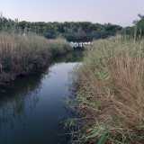 Il ricco ecosistema del lago Salinella, una pineta di pini d'Aleppo e una torre d'avvistamento del 500. Sono i tesori della riserva Stornara, area naturale protetta che si affaccia sulla costa ionica, al confine tra Puglia e Basilicata